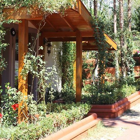 Boncuklu Otel Oludeniz Exterior photo